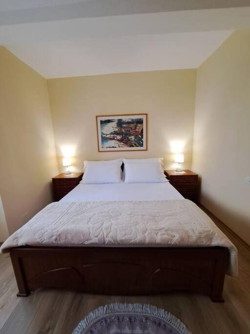 Quiet, Cozy, Luminous Apartment Тирана Экстерьер фото