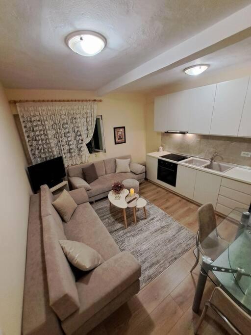 Quiet, Cozy, Luminous Apartment Тирана Экстерьер фото