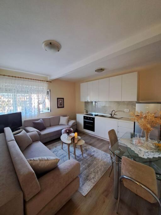Quiet, Cozy, Luminous Apartment Тирана Экстерьер фото
