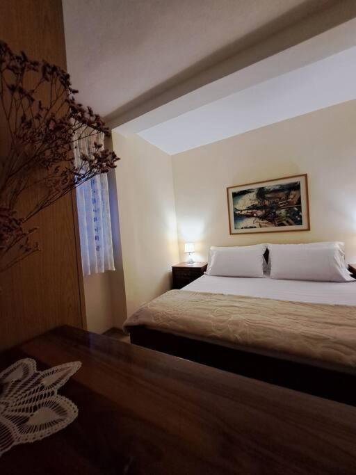 Quiet, Cozy, Luminous Apartment Тирана Экстерьер фото